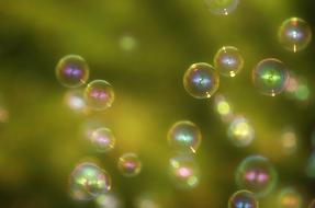 bubbles in the air