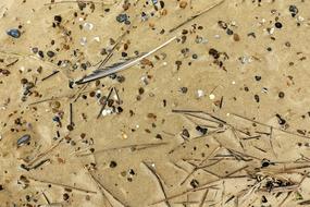 Sand shoreline Pattern