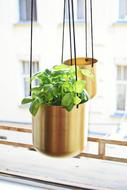 cute flower pots