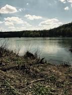 Lakeshore Lake Nature