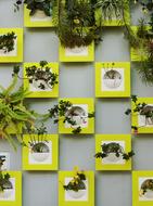 green flowers on the wall