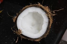 tropical coconut