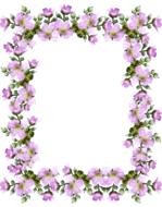 Frame Border Pink