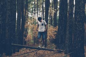 the guy is standing on a tree in the forest