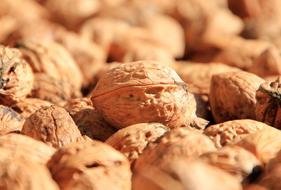closeup of walnuts