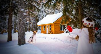 Girl and Dog at Christmas forest