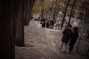 Trees Wood Leaf street
