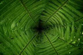 fantastic art green