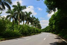 Road Ecopark