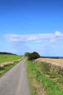 Road Yorkshire Nature