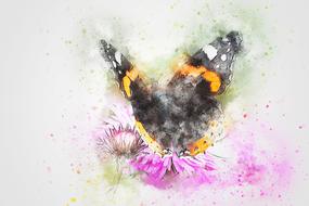 butterfly animal insect art