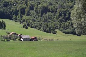 France Field Village Old