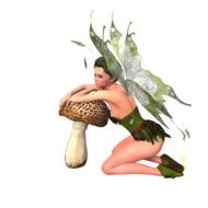woman elf fee figure beautiful