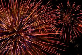 Beautiful and colorful fireworks in the black sky, at the night