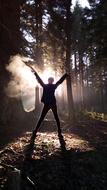 Person, among the beautiful trees in sunlight