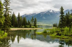 clear lake in the forest