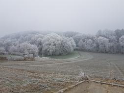 Landscape Hoarfrost
