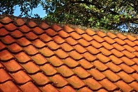 red Roof Tiles pattern