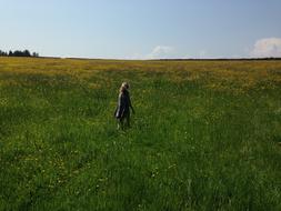 a girl walks in a summer blooming field