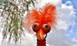 Weird Bird Cute Funny