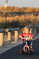 small child Boy riding bicycle