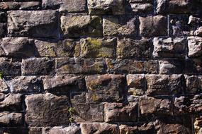 Stone Wall Welsh