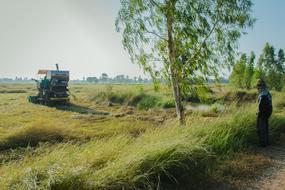 man standing by a field