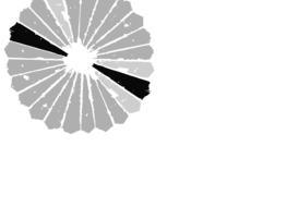 designer gray emblem