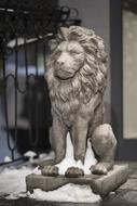 Mammal Lion Statue