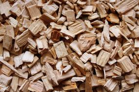 Wood The Bark Ground