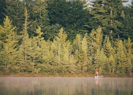 Fishing Boat forest man