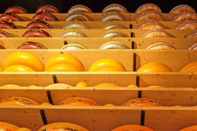 delicious shelf stable milk cheese