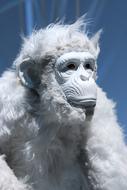 Monkey White Animal