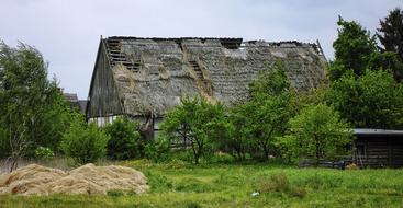 Beautiful landscape with the old barn among the green plants near the Baltic Sea