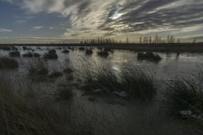 Waters Reflection Panorama