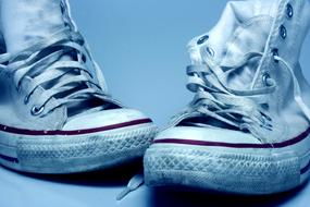 Shoe Couple Footwear