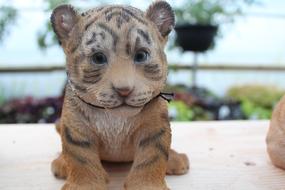 Baby Tiger