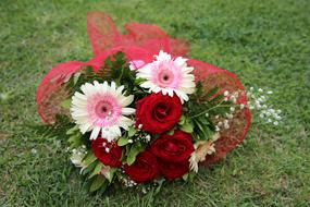 Flower Grass Rose