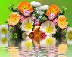 florist bouquet collage