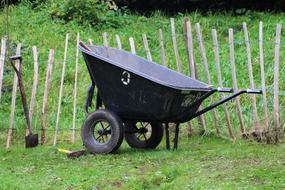 Wheel Barrow Gardening