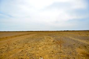 Landscape of natural Desert House