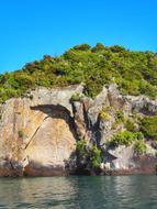 rock with trees by the sea