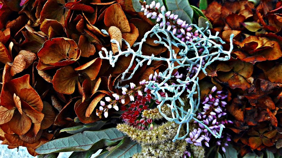 beautiful decorative flowers landscape
