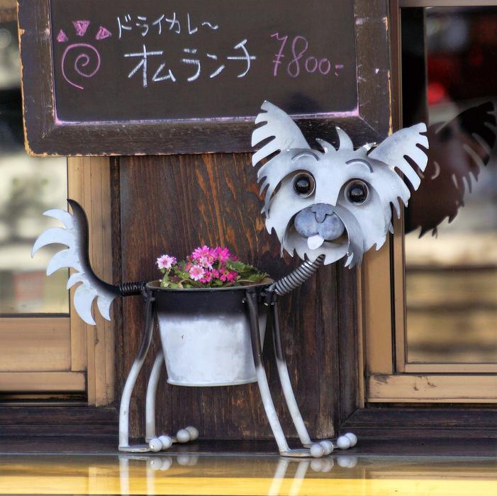Dog Pot Plant
