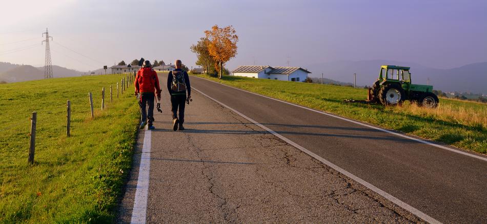 Excursion Walk Road