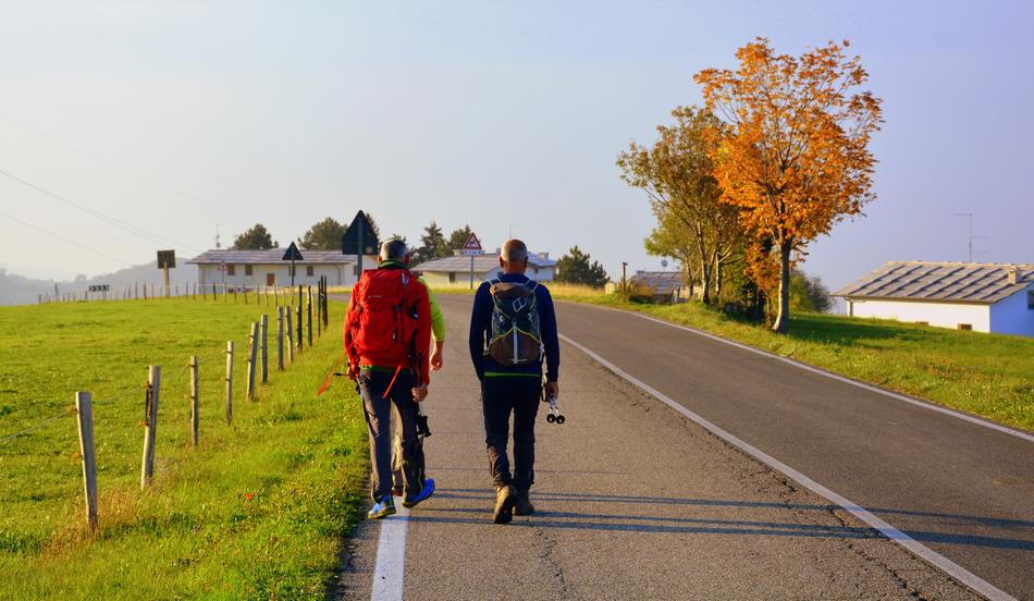 Excursion Walk Road