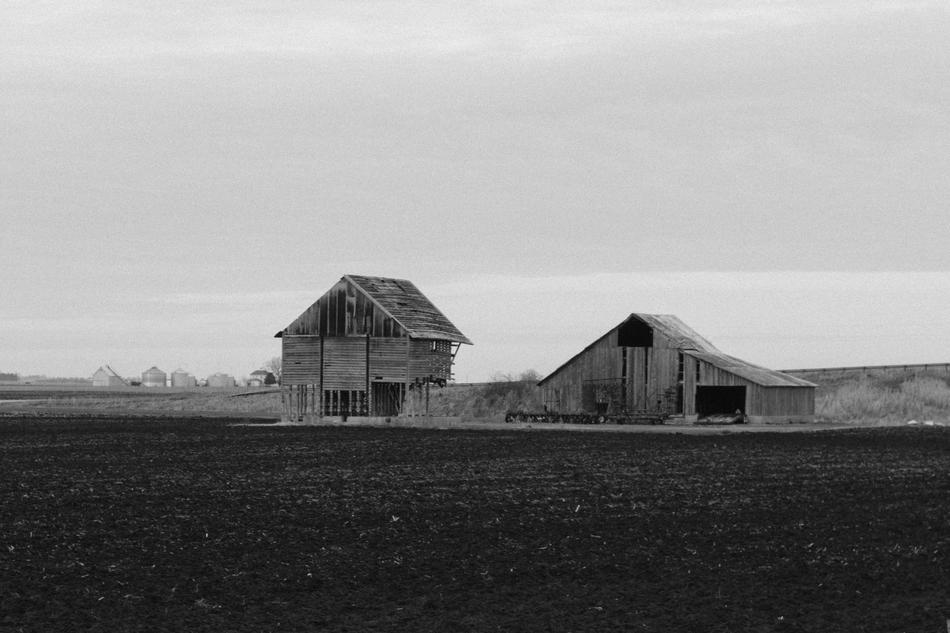 Black and white landscape with the huts among the fields and plants