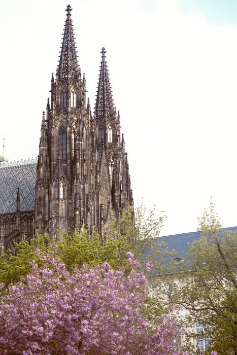 historically Prague Castle in Czech