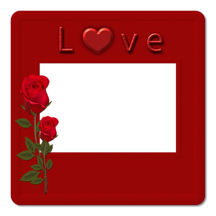 frame love roses red