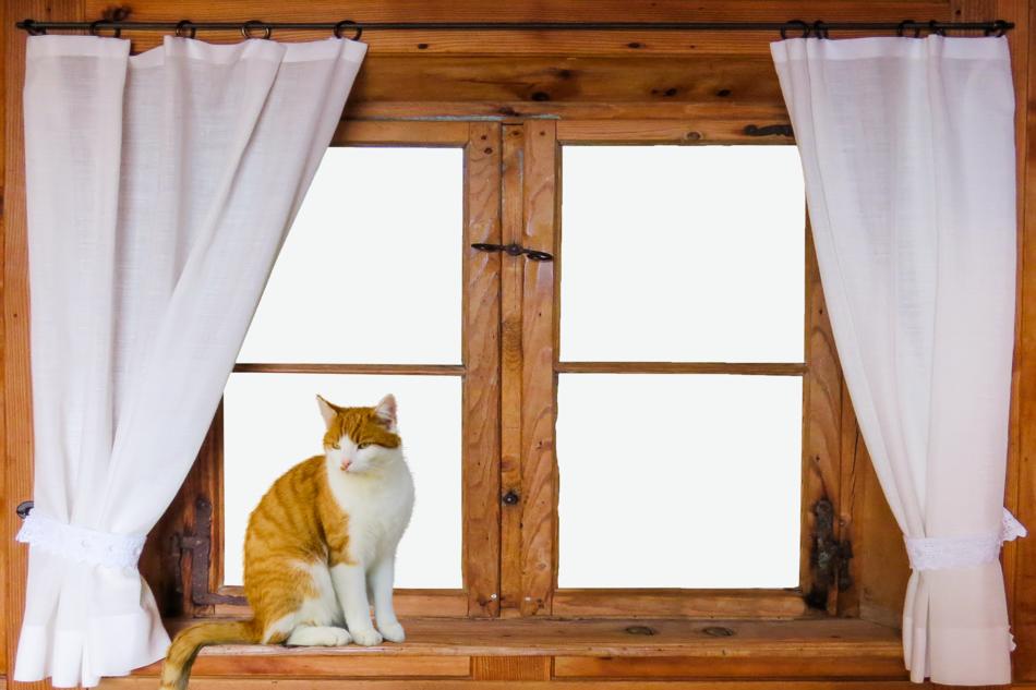 Architecture Window Outlook